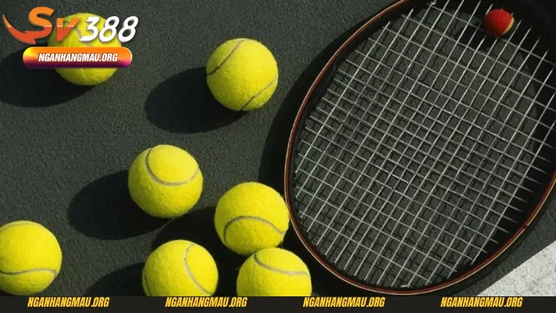 Các cách cá cược quần vợt đa dạng