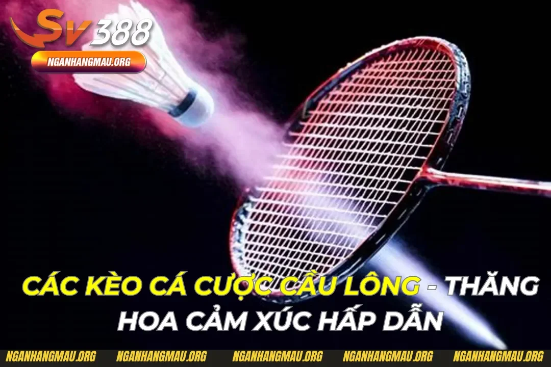 Các Kèo Cá Cược Cầu Lông