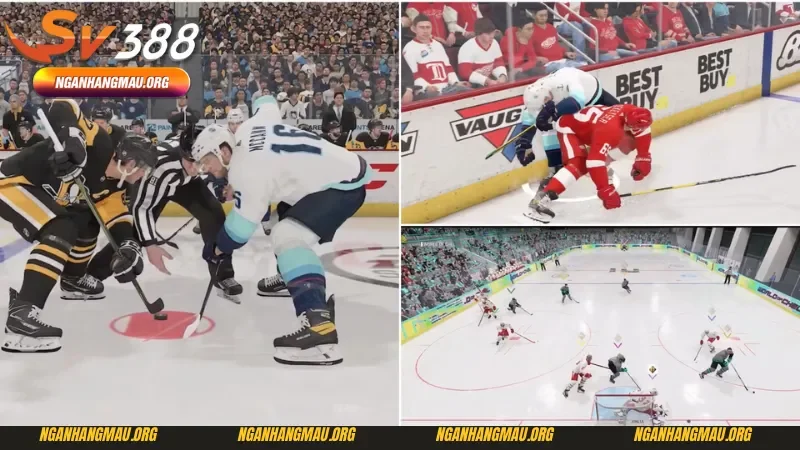 Cách cá cược hiệu quả trong các giải đấu khúc côn cầu