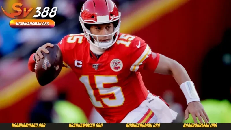 Cách chơi bóng bầu dục cho người mới về quyền thi đấu