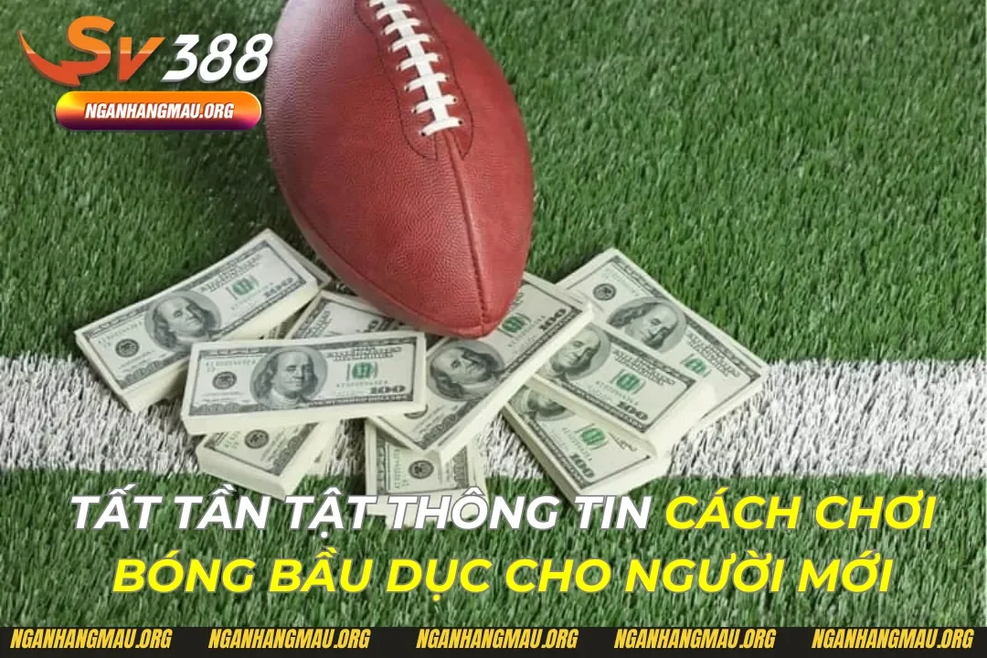 Cách Chơi Bóng Bầu Dục Cho Người Mới