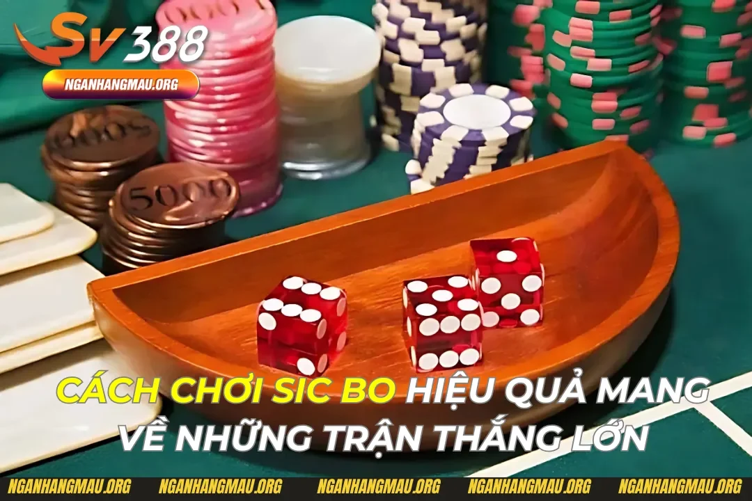 Cách Chơi Sic Bo