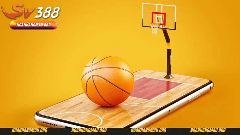 Cách phân tích dựa vào thông tin về cá cược bóng rổ