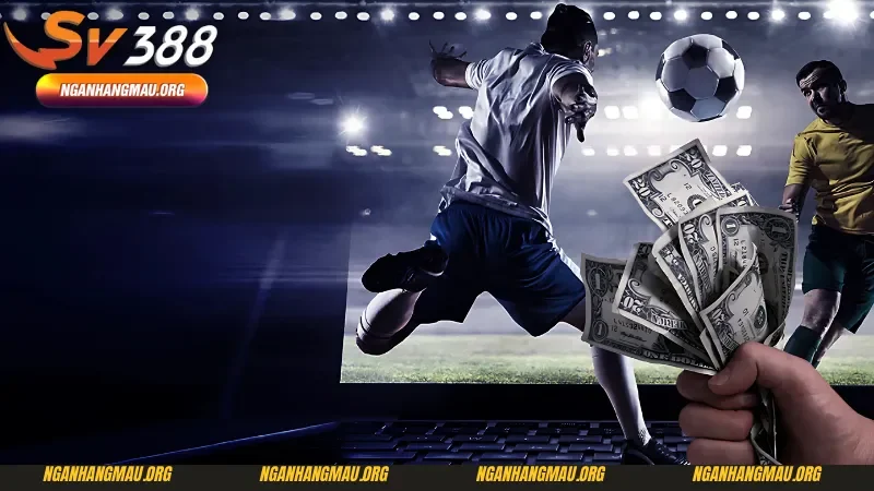  Chỉ dẫn bet kèo thể thao chuẩn chỉ tại SV388