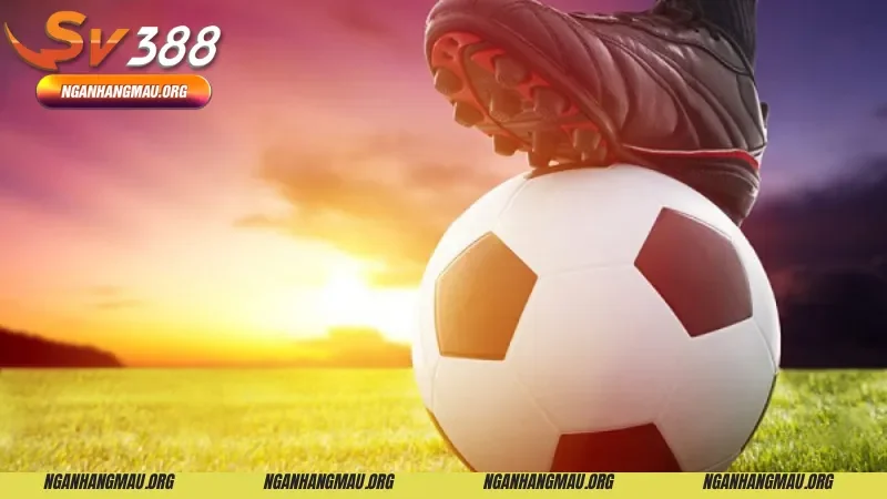 Chi tiết cách chơi kèo châu Á tại nhà cái Sv388 