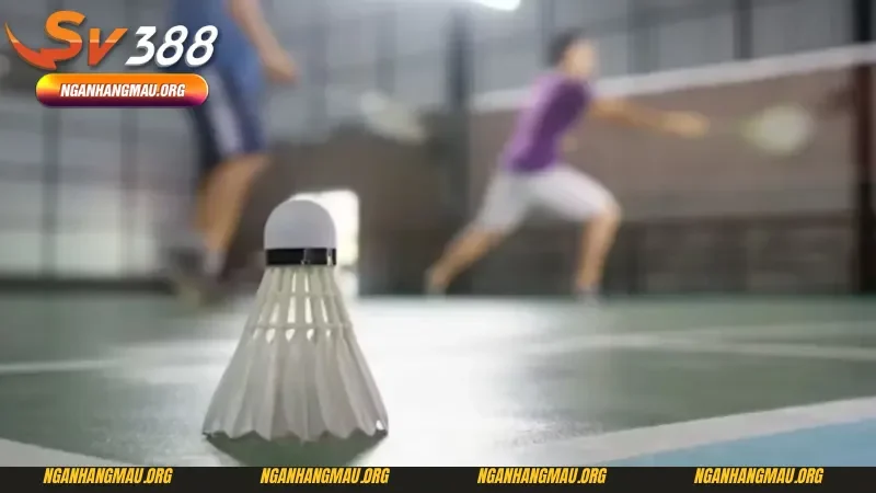 Chi tiết về các kèo cá cược cầu lông và khái niệm