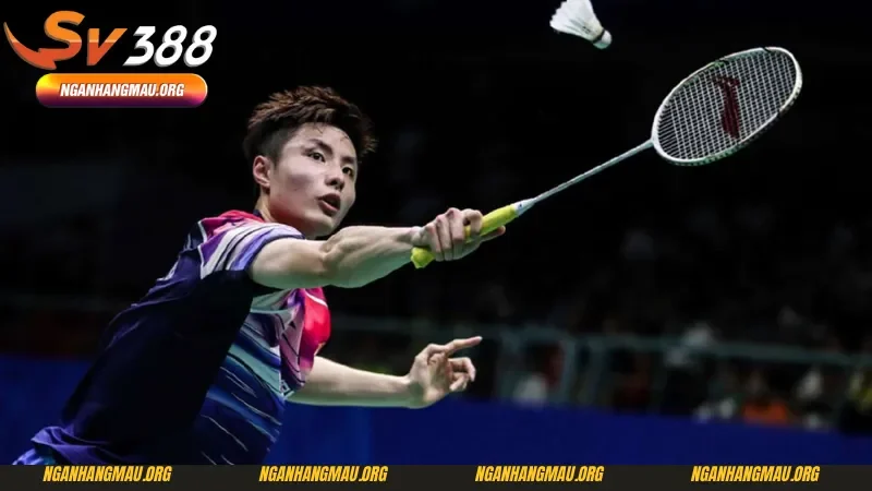 Chi tiết về cách đọc hiểu các kèo cá cược cầu lông