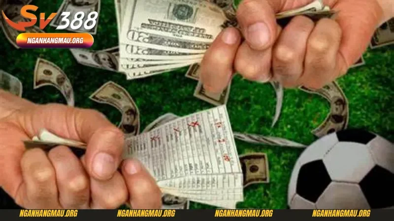 Chiến lược cá cược bóng đá chỉ rõ về cách quản lý nguồn vốn