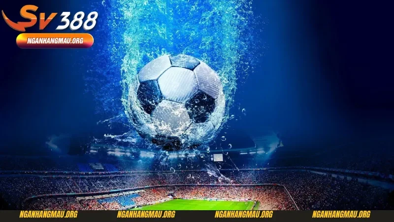 Chiến lược cá cược bóng đá - Quy tắc Kelly Criterion