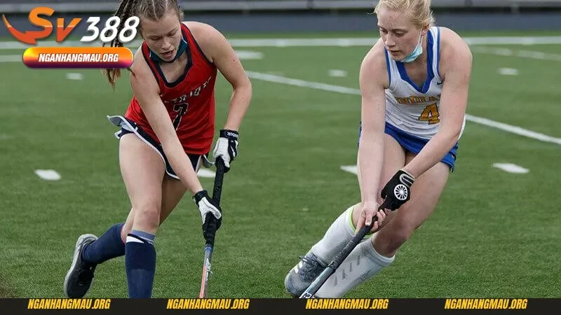 Chiến lược soi cầu tại các giải đấu khúc côn cầu