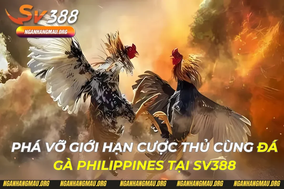 Đá Gà Philippines Tại Sv388