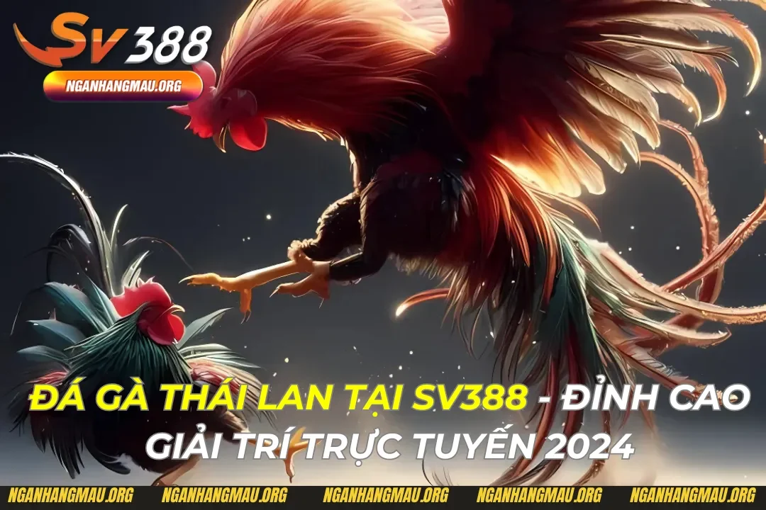 Đá Gà Thái Lan Tại Sv388