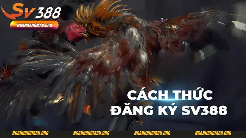 Đăng ký SV388 với quy trình 5 bước đơn giản