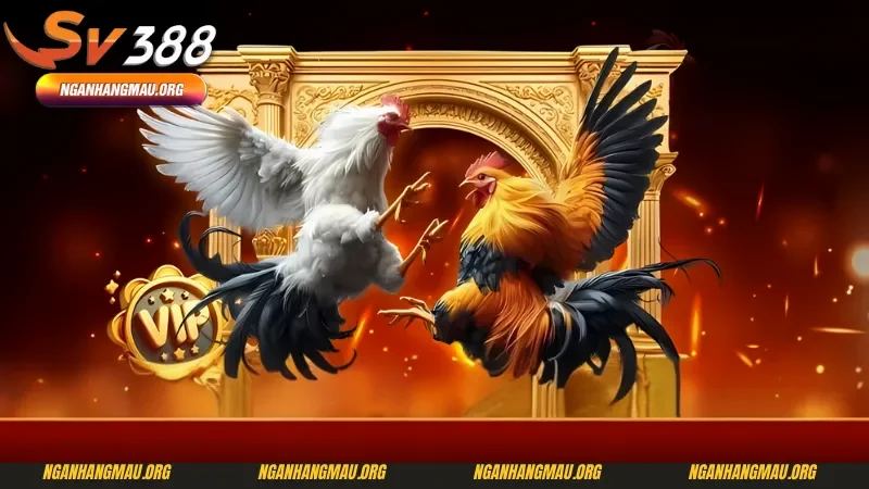  Giá trị cốt lõi mà nhà cái SV388 luôn theo đuổi