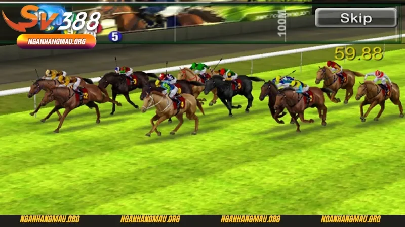 Hướng dẫn cá cược đua ngựa với nhà cái uy tín