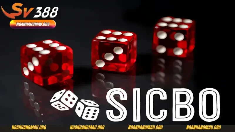 Hướng dẫn cách chơi Sic bo cơ bản nhất