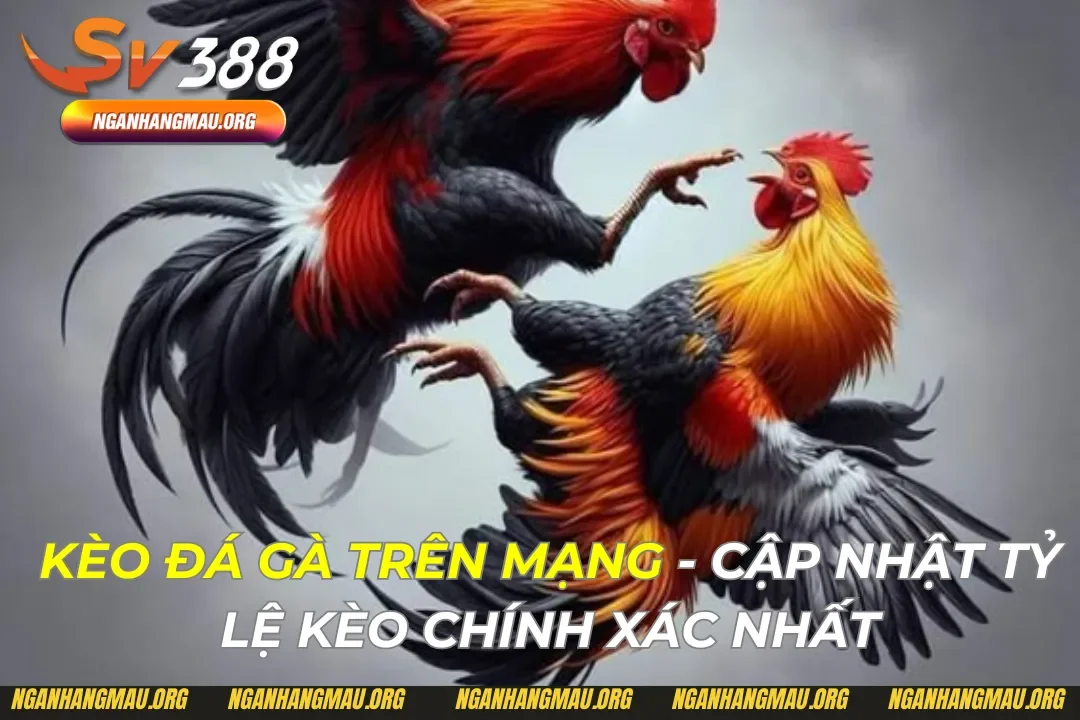 Kèo Đá Gà Trên Mạng