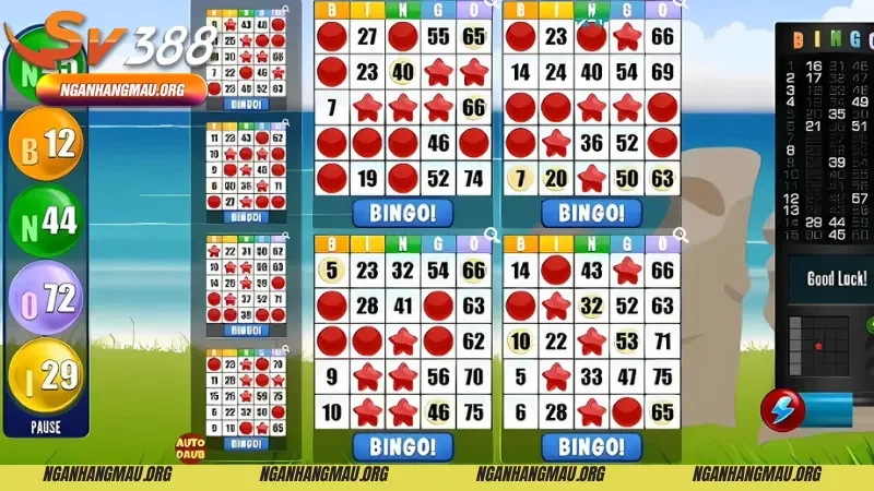 Luật chơi Bingo của các biến thể khác 