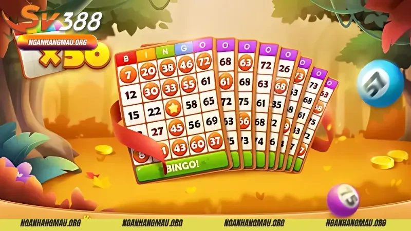  Luật chơi Bingo và cách dành chiến thắng hiệu quả 
