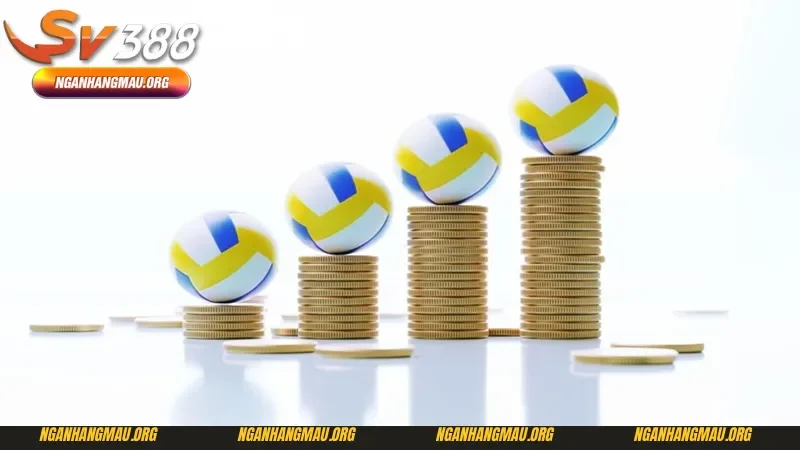 Mẹo cá cược bóng chuyền và những loại hình hấp dẫn