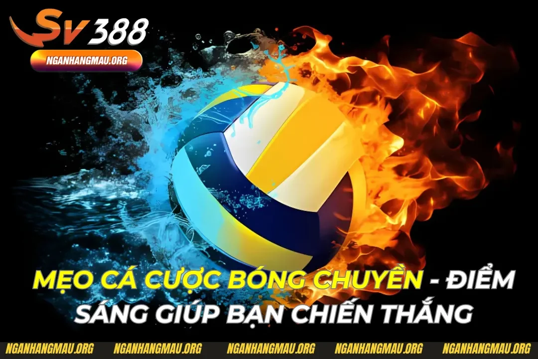 Mẹo Cá Cược Bóng Chuyền