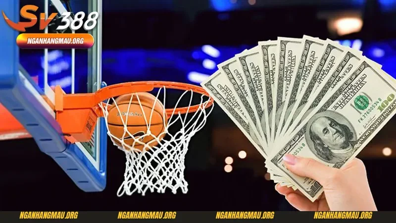 Mẹo chơi sau khi nắm bắt thông tin về cá cược bóng rổ