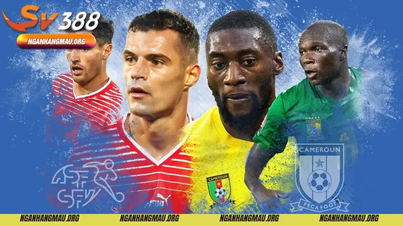 Mẹo cược kèo châu Âu siêu hay 