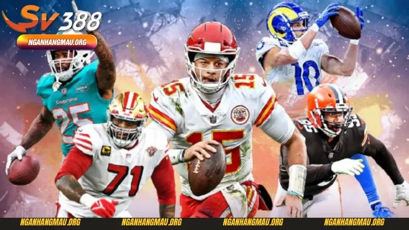 Mẹo để hiểu cách chơi bóng bầu dục cho người mới