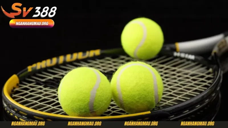 Mẹo và cách cá cược quần vợt bất bại