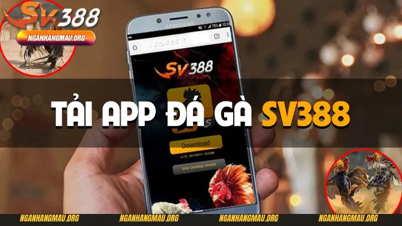 Một vài lợi ích sau khi tải app SV388