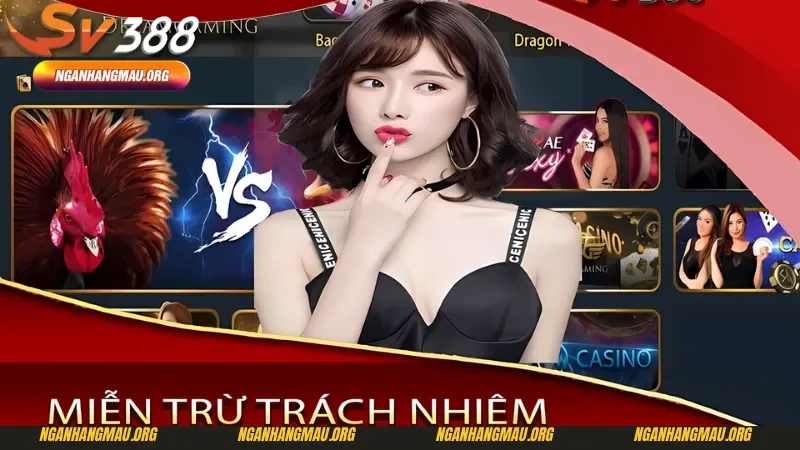 Nhiệm vụ của bet thủ khi tìm hiểu về miễn trừ trách nhiệm