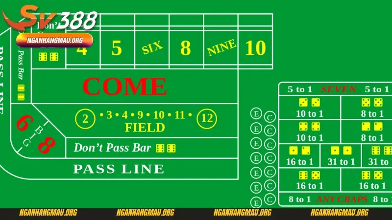 Những hướng dẫn chơi Craps đầy đủ nhất