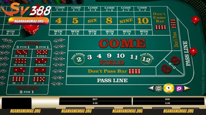 Hướng dẫn chơi Craps - Những loại hình kèo cược phổ biến