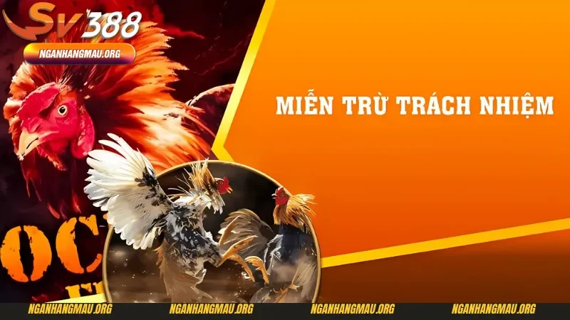 Những nét cơ bản về miễn trừ trách nhiệm