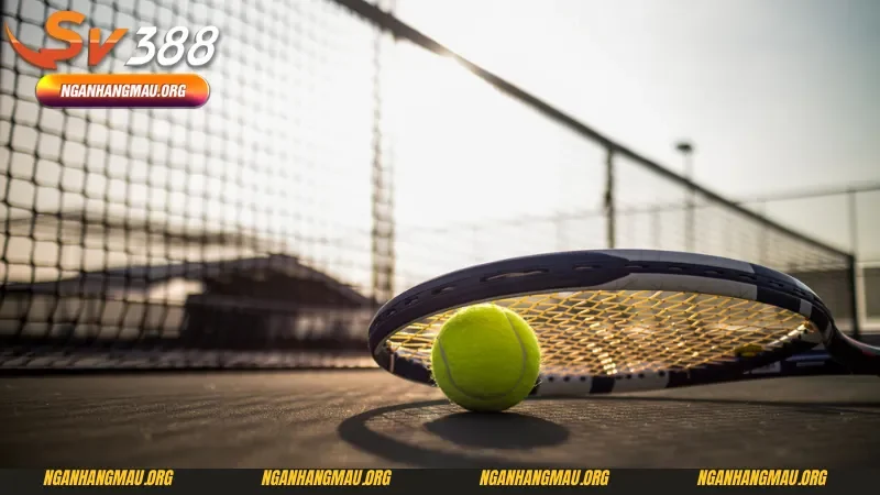 Phân tích phong độ chi tiết tay vợt là cách cá cược quần vợt quan trọng