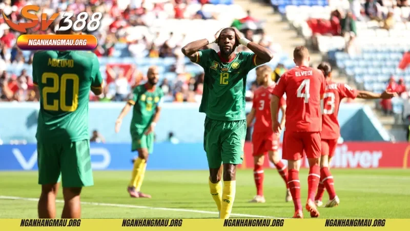 Sự khác biệt về thời điểm ra đời của kèo châu Âu và kèo chấp