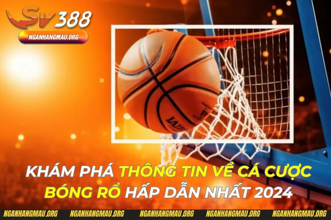 Thông Tin Về Cá Cược Bóng Rổ