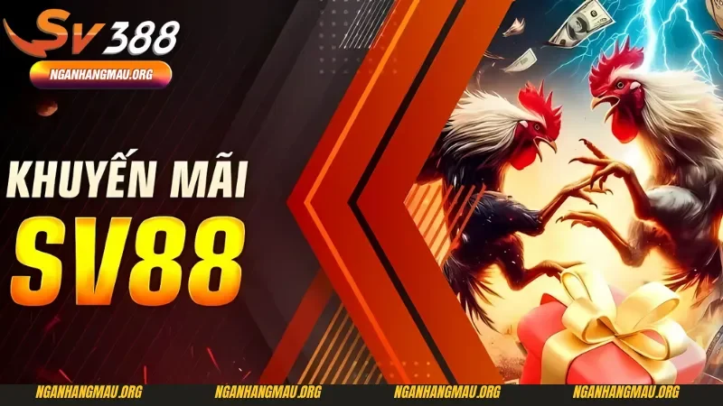 Tổng hợp những khuyến mãi đáng chú ý khi chơi tại SV388