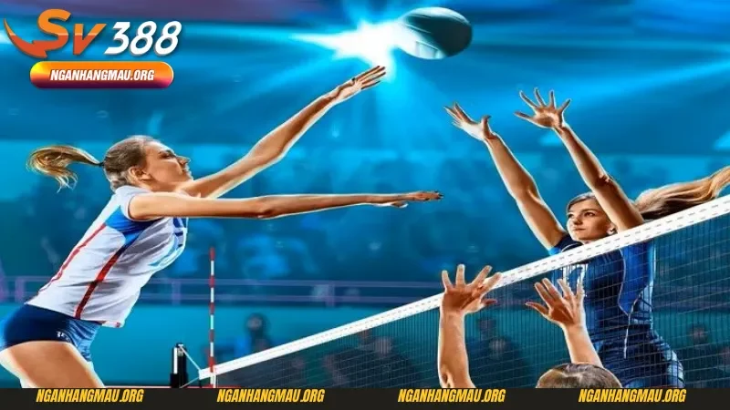 Tổng nét về mẹo cá cược bóng chuyền và khái niệm