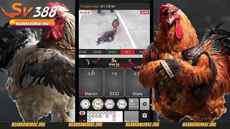 Về chúng tôi với mục tiêu kinh doanh vượt trội của SV388