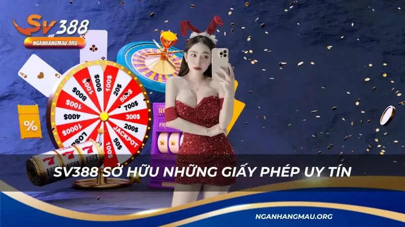 Những giấy phép minh bạch mà thương hiệu đang sở hữu