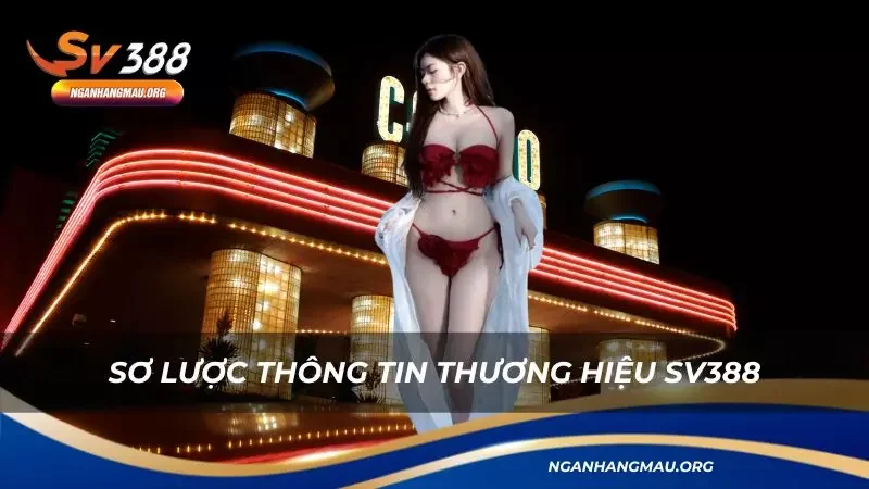 Khám phá thông tin sơ lược về thương hiệu đầy uy tín