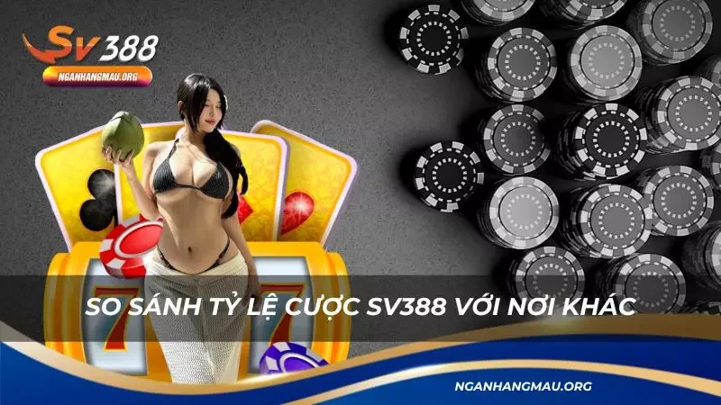 Sự khác biệt cực lớn của chúng tôi và các nơi khác 