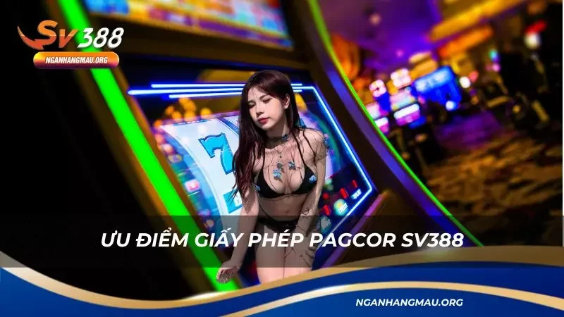 Việc sở hữu giấy phép uy tín rất được người chơi tin chọn