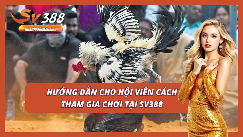 Khám phá cách đăng ký, nạp rút tiền và tải app Sv388 nhanh chóng